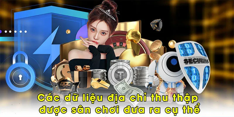 Các dữ liệu địa chỉ thu thập được sân chơi đưa ra cụ thể
