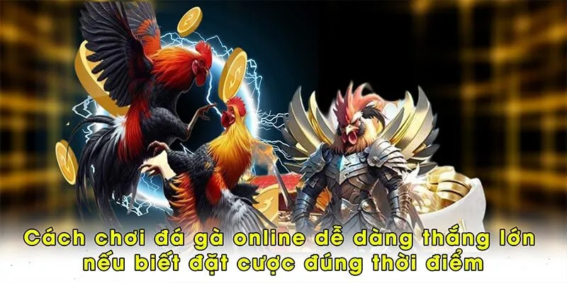 Cách chơi đá gà online dễ dàng thắng lớn nếu biết đặt cược đúng thời điểm