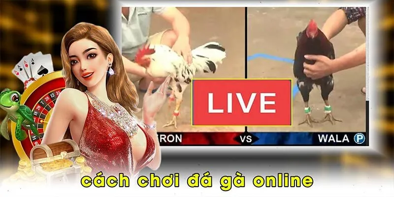 Cách chơi đá gà online