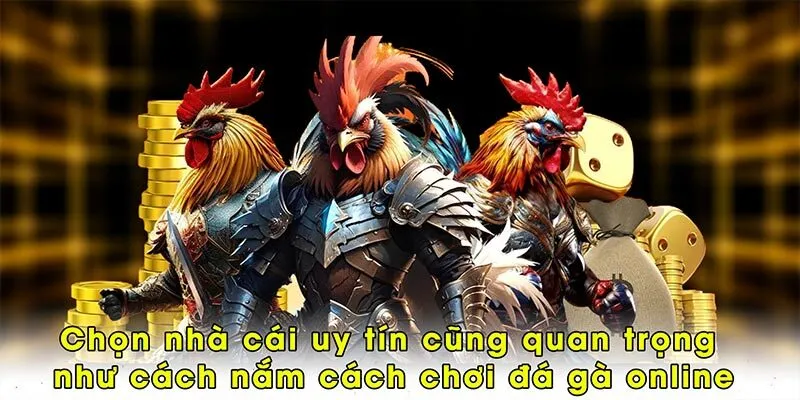 Chọn nhà cái uy tín cũng quan trọng như cách nắm cách chơi đá gà online