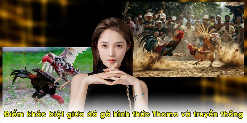 Điểm khác biệt giữa đá gà hình thức Thomo và truyền thống