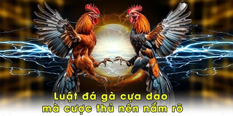 Luật đá gà cựa dao mà cược thủ nên nắm rõ
