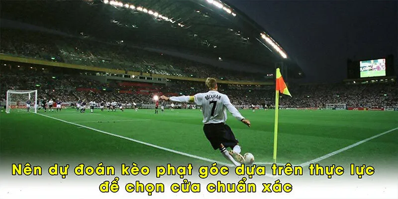 Nên dự đoán kèo phạt góc dựa trên thực lực để chọn cửa chuẩn xác