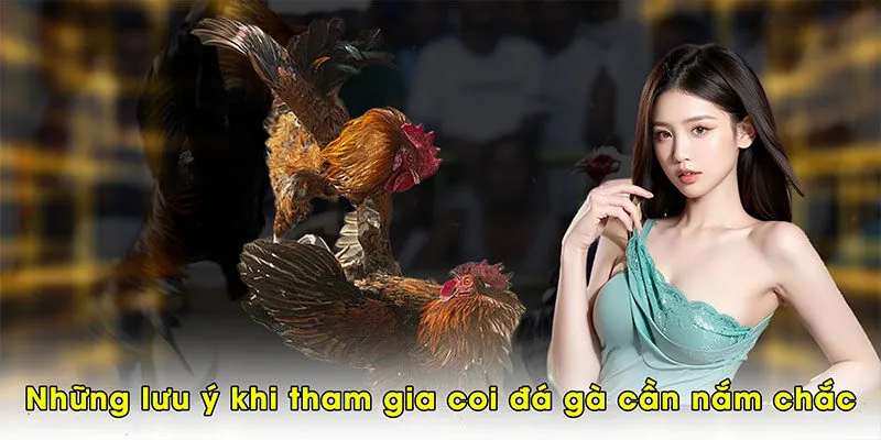 Những lưu ý khi tham gia coi đá gà cần nắm chắc khi tham cược