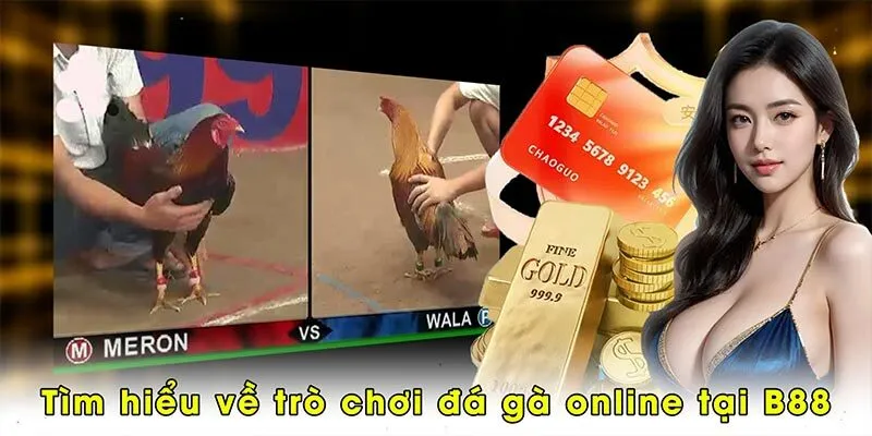 Tìm hiểu về trò chơi đá gà online tại B88