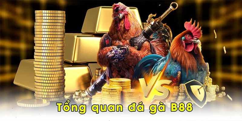 Tổng quan đá gà B88